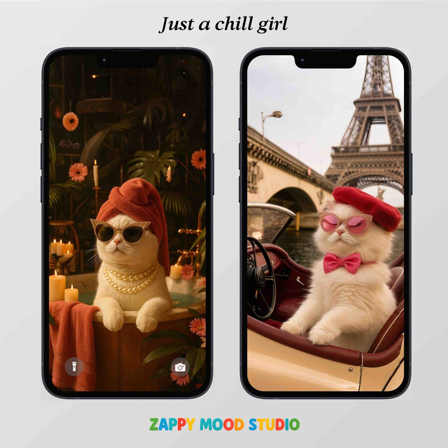 Chill Cat Phone Wallpapers – Coastal, City & Sunset Aesthetic Backgrounds